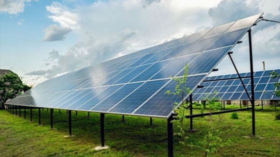 Énergies renouvelables : nouveau projet de ferme solaire à Plaine-des-Papayes