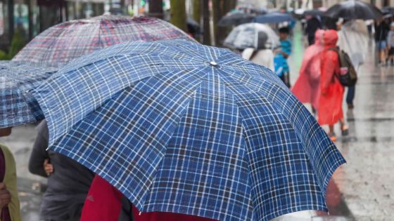 Météo : 102 mm de pluie à Vacoas en 24 heures 