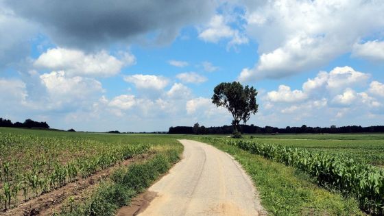 Météo : des averses modérées avec risques d’orages attendues dans l’après-midi