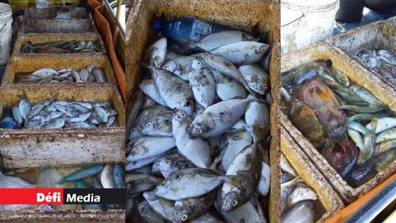 Sudheer Maudhoo encourage la pêche hors lagon