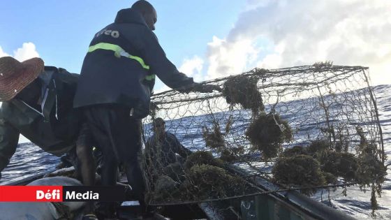 Marée noire/MV Wakashio : la reprise de la pêche en mer dans les régions affectées à partir du 12 décembre