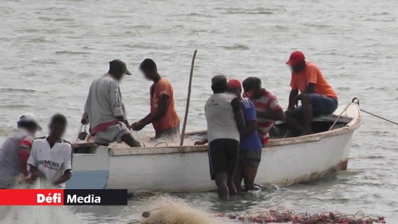 Importations de poissons : les pêcheurs ont perdu au moins 60 % du marché local 