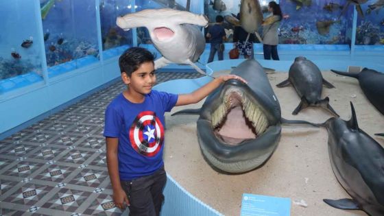 Port-Louis : le musée d’Histoire naturelle rouvre ses portes ; l'entrée est gratuite