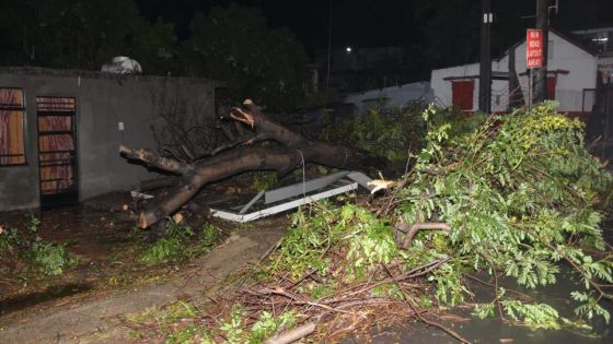 Forte tempête Calvinia : 3 350 abonnés privés d'électricité ; voici ce qu'il faut retenir