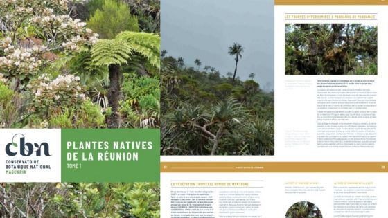 Accès libre en ligne au 1er tome «Les plantes natives de La Réunion»