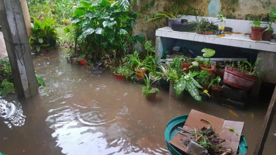 Météo : l’avis de pluies torrentielles maintenu 