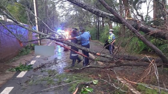 Drame à Trou-aux-Biches : le système d’alerte cyclonique remis en question