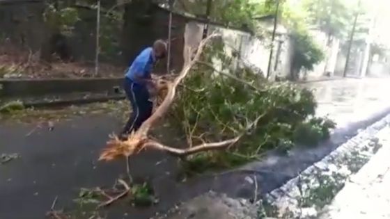 Port-Louis : un policier dégage à mains nues la rue David obstruée par une grosse branche