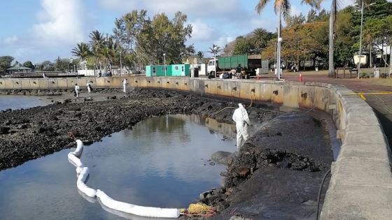 Naufrage du MV Wakashio : les déchets qui ne pourront pas être décontaminés seront acheminés vers la Grèce 