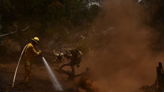 Le bilan des incendies à Hawaï atteint 93 morts et devrait encore augmenter