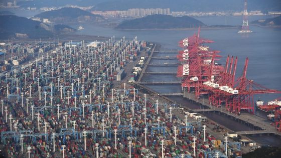 Covid: la Chine rouvre l'un des principaux ports du monde