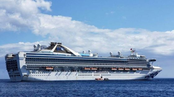 Coronavirus : 21 cas positifs sur un navire de croisière 