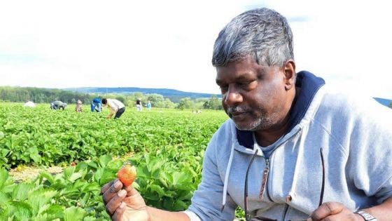 La médecine l'avait condamné : l’incroyable destin de Radhakrishna Anacoottee