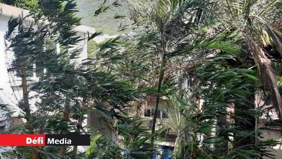 Alerte cyclonique III : les plus fortes rafales à Port-Louis