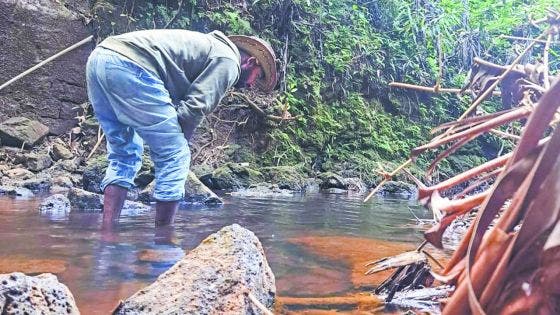 Raja Vencatasawmy est aquascaper.
