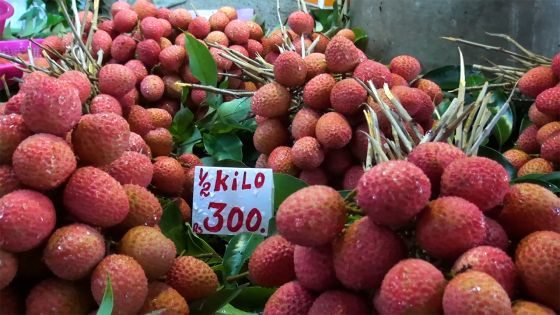 Letchis à Rs 300 le demi-kilo : un prix qui laisse un goût aigre-doux 