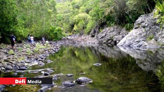 Liste d’activités interdites dans les réserves naturelles et les îlots