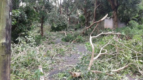 [En images] Rodrigues subit les foudres du cyclone Gelena