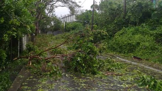 [En images] Désolation à l'île Rodrigues après le passage du cyclone tropical intense Joaninha