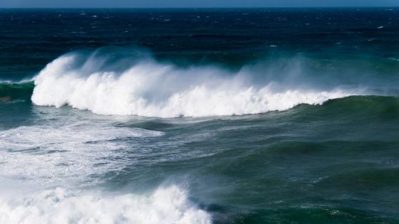 Météo : une veille de fortes pluies reste en vigueur