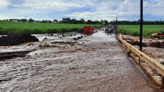 [En images] Piton : une route principale inondée