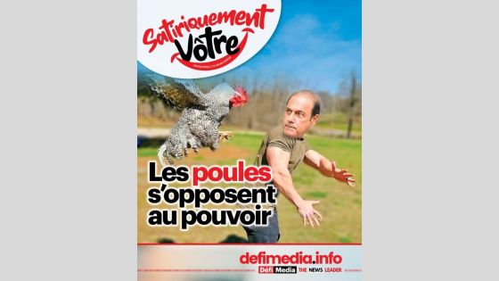 [Satiriquement Vôtre] Les poules s’opposent au pouvoir