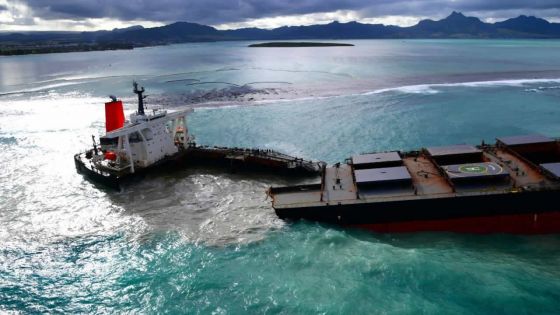 Étude australienne : le type de fuel du MV Wakashio moins toxique