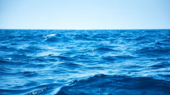 Au large de l'île Raphaël : un pêcheur porté disparu en mer
