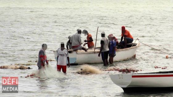 Ouverture de la pêche à la senne ce dimanche 1er mars