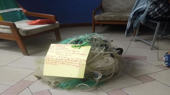 Grand-Gaube : cinq personnes recherchées pour pêche illégale