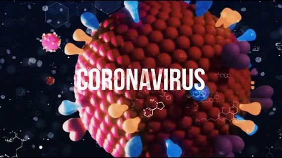 Coronavirus : le ministère de la Santé lance une campagne d'information 
