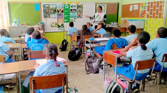 [Écosphère] Small Step Matters : L’effet colibri en action