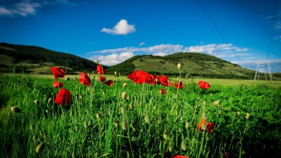 Prévisions météo du 13 octobre