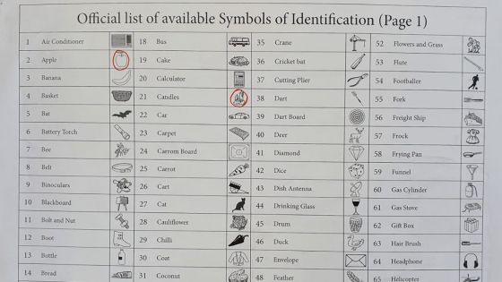 Élections villageoises-Nomination Day : découvrez les symboles