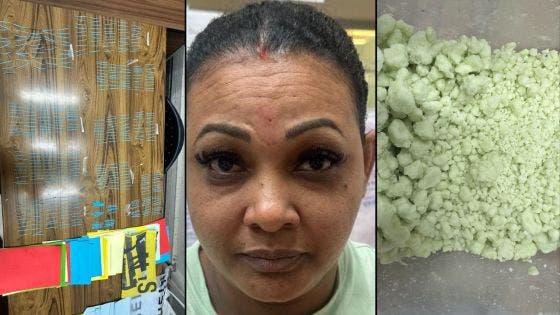 Saisie de Rs 14 millions de drogue de synthèse et de Rs 201 000 à GRNO