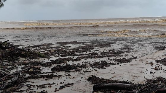 Belal défigure la plage de Tamarin