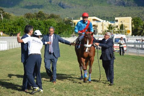 Hippisme : Tandragee remporte la Barbé Cup 