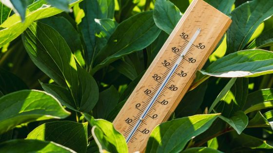 Météo : jusqu'à 34 degrés Celsius sur le littoral