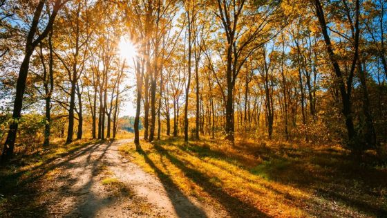 Météo : les prévisions pour ce mercredi