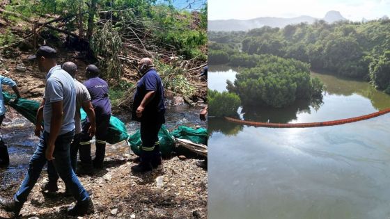 Marée noire à l’estuaire de Terre-Rouge : des travaux en cours pour contenir les dégâts