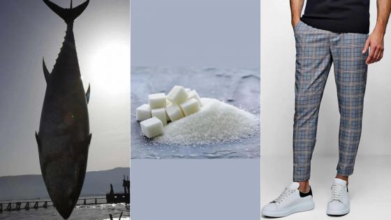 Commerce - thon, sucre et pantalons : le Top 3 des produits exportés