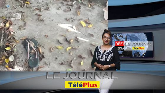 Le JT – Deux femmes retrouvées mortes à leurs domiciles respectifs