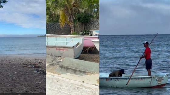 Avis de fortes houles : des bateaux à terre, la parole aux pêcheurs