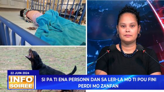 INFO SOIREE : Une fillette de 3 ans mordue par un Rottweiler en allant à la boutique avec sa sœur 