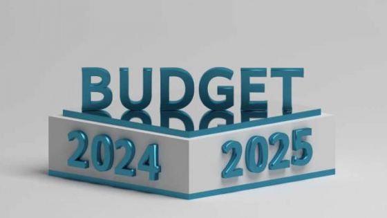 Budget 2024-25 : jeunes, femmes et salariés parmi ceux qui seront «gâtés» par le ministre des Finances