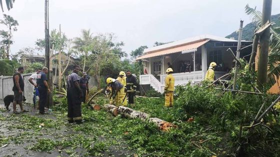 Sébastopol : une «tornade» sème la panique 