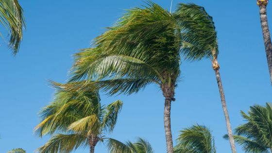 Anticyclone : rafales de 70 km/h aux endroits exposés