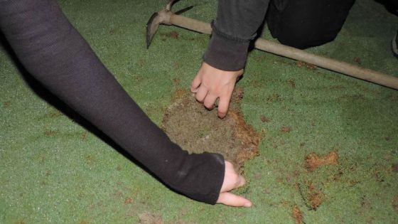 Sécheresse : des militants écologistes bouchent des trous de golfs avec du ciment
