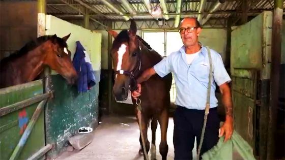 Hippisme - Rencontre - Satish Prayagsingh : Je peux rentrer au turf club la tête haute...