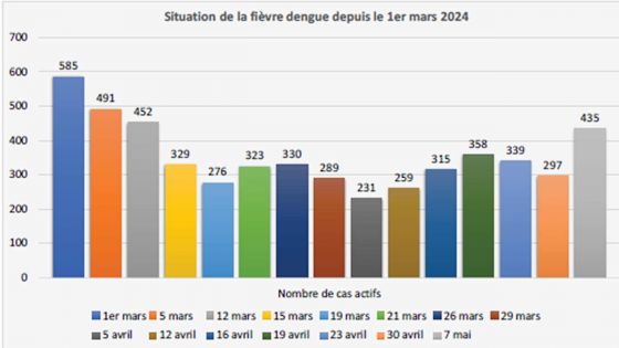 Depuis décembre 2023 - dengue : un nouveau décès porte le nombre à huit 